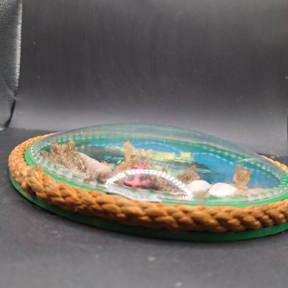 Vintage Trieste Souvenir Wall Art With Castle & Seashells Under Plastic Dome - Picture 5 of 7